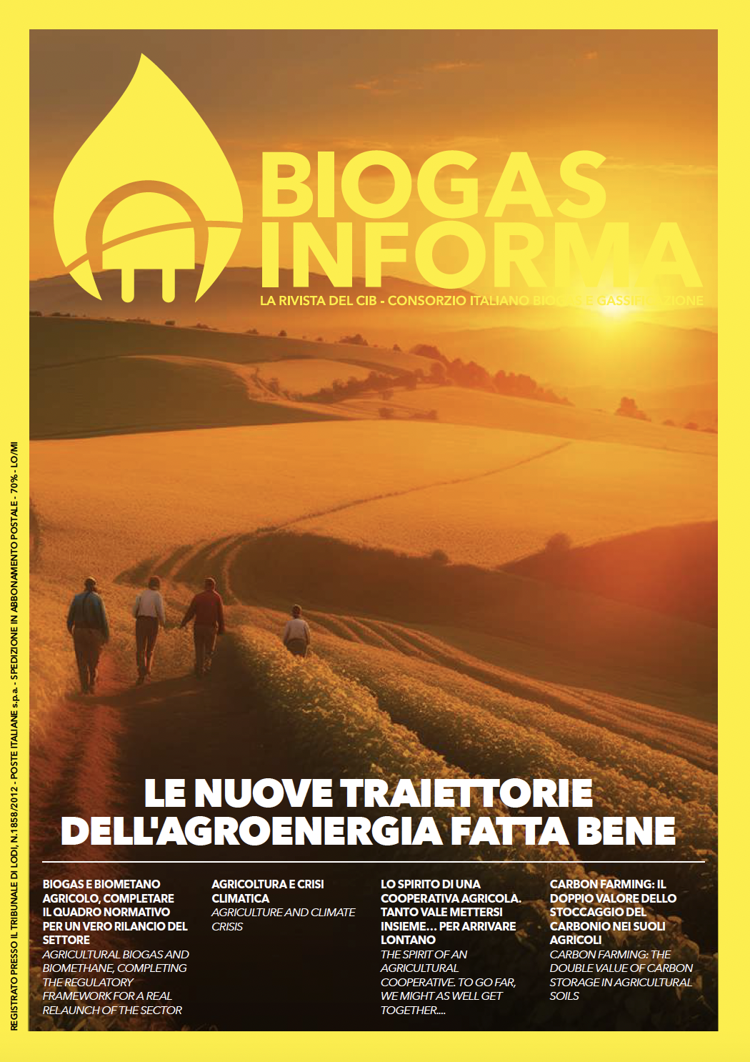 Al momento stai visualizzando Articolo sullo stoccaggio del carbonio nei suoli su Biogas Informa